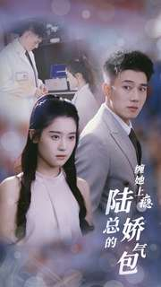 缠她上瘾陆总的娇气包（80集）百度网盘在线看