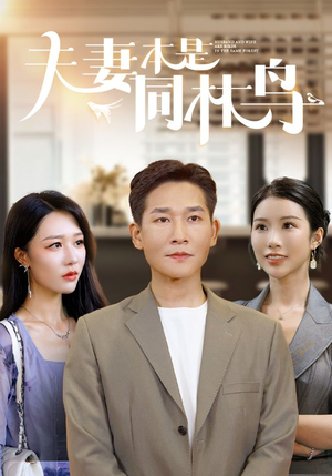 夫妻本是同林鸟(76集) 夫妻本是同林鸟(76集)一个短剧看全集