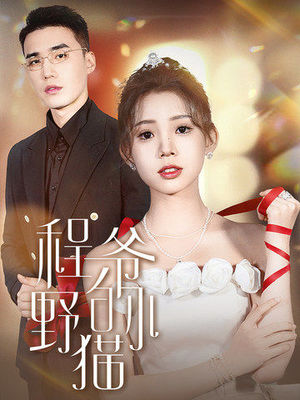 程爷的小野猫（40集）推荐好短剧