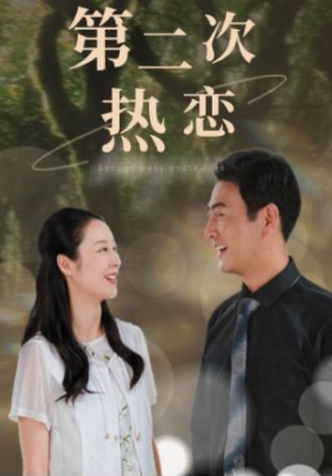 第二次热恋(48集) 第二次热恋(48集)小短剧抢先看