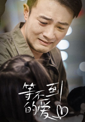 等不到的爱(40集) 等不到的爱(40集)口碑之选免费看