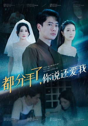 都分手了你说还爱我(33集) 都分手了你说还爱我(33集)精彩短剧下载