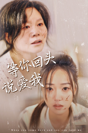 等你回头说爱我（87集）最火短剧热播