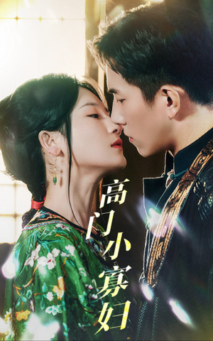 高门小寡妇（60集）精彩不断免费看