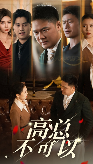 高总不可以(45集) 高总不可以(45集)爆款短剧追不停