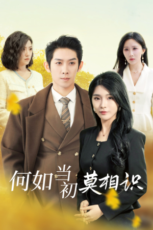何如当初莫相识(36集) 何如当初莫相识(36集)高清无码免费看
