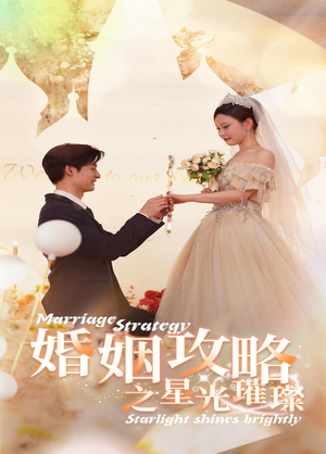 婚姻攻略之星光璀璨（32集）百度网盘资源