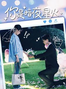 你是暗夜星火(120集) 你是暗夜星火(120集)第一集