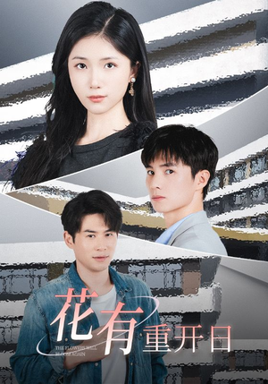 花有重开日（41集）精彩短剧上线