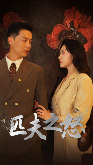 匹夫之怒(48集) 匹夫之怒(48集)全剧看到大结局