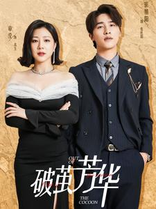 破茧芳华(80集) 破茧芳华(80集)百度在线观看