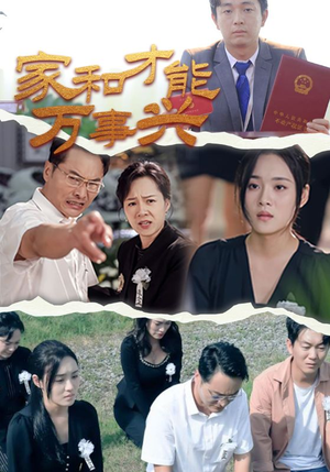家和才能万事兴(30集) 家和才能万事兴(30集)百度网盘在线看