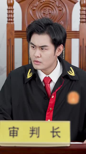 将人贩子送上法庭（30集）网盘在线观看