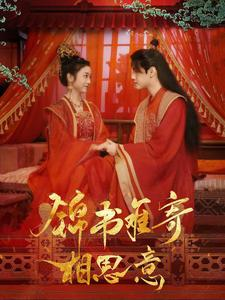 锦书难寄相思意(97集) 锦书难寄相思意(97集)解说