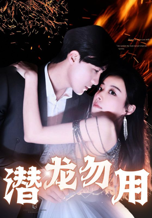 潜龙勿用（87集）全集免费