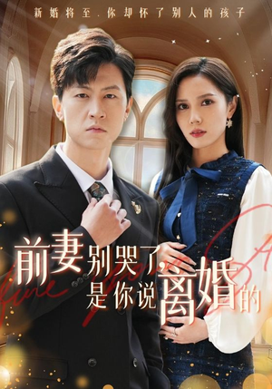 前妻别哭了，是你说离婚的（42集）完整版免费观看