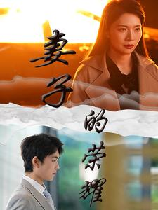 妻子的荣耀（40集）小短剧推荐