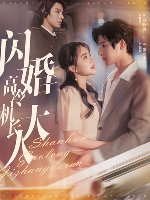 机长先生，听我指挥（92集）短剧太好看