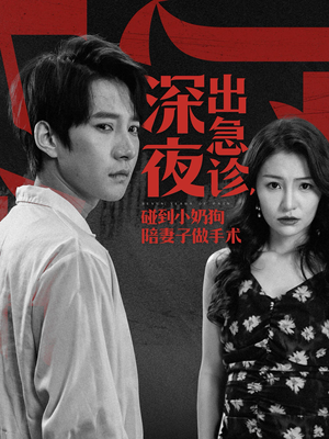 深夜出急诊，碰到小奶狗陪妻子做手术（50集）短剧免费看全集