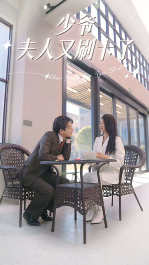 少爷夫人又刷卡了（90集）第一季
