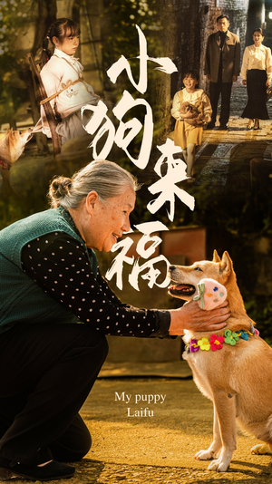 小狗来福（30集）好短剧分享