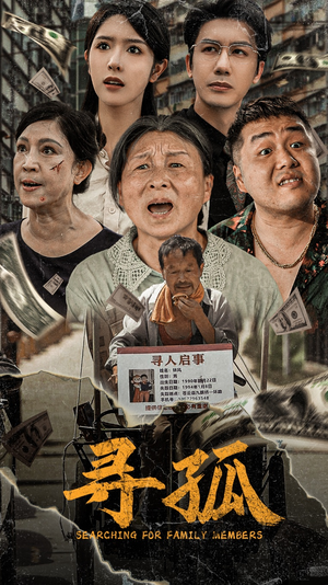 寻孤(78集) 寻孤(78集)最后的大结局