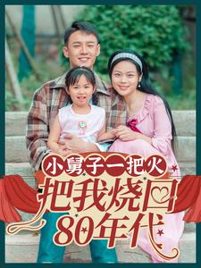 小舅子一把火把我烧回80年代(100集) 小舅子一把火把我烧回80年代(100集)短剧全集免费看