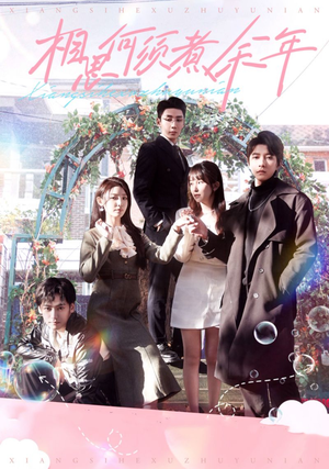 相思何须煮余年（33集）短剧太好看