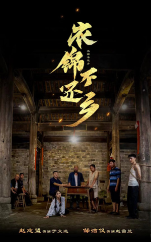 衣锦不还乡(69集) 衣锦不还乡(69集)贝贝短剧分享