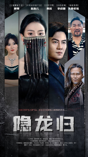 隐龙归(80集) 隐龙归(80集)免费短剧就是爽