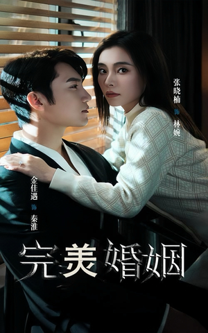 完美婚姻(65集) 完美婚姻(65集)古装短剧热播