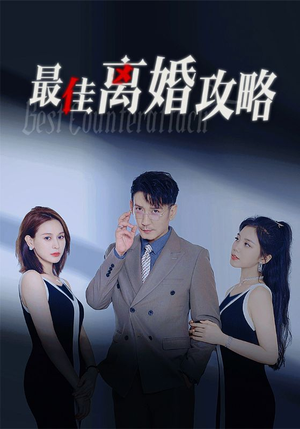 最佳离婚攻略（31集）每天短剧分享