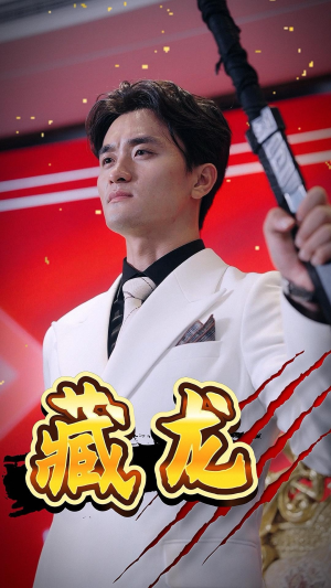 藏龙(30集) 藏龙(30集)看过的人都说好