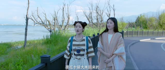 向北的遗憾(20集) 向北的遗憾(20集)短剧小说在线看