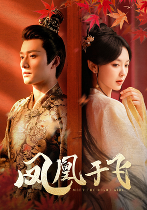 凤凰于飞(79集) 凤凰于飞(79集)短剧看全集