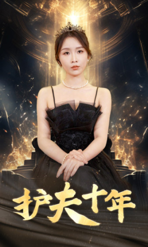 护夫十年（71集）短剧热播推荐
