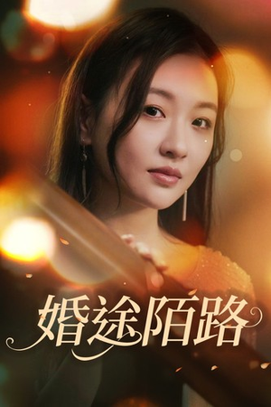 婚途陌路（15集）番茄免费短剧