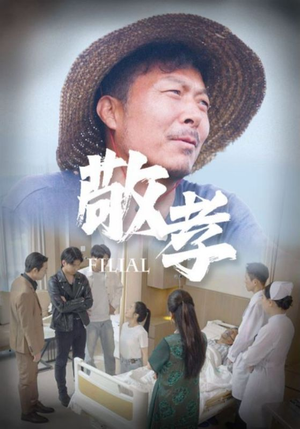 敬孝（61集）短剧太上头了