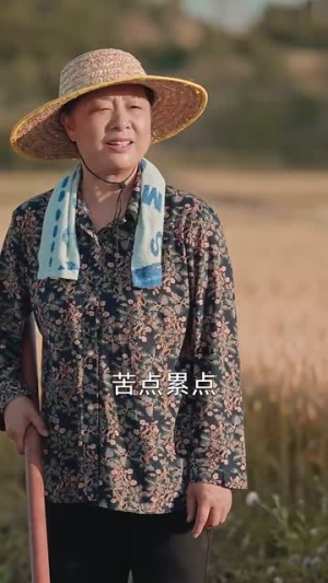 志在千里(30集) 志在千里(30集)演员表