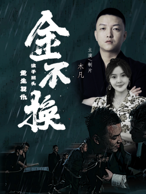金不换（32集）网盘在线观看