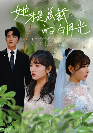 她才是总裁的白月光(90集) 她才是总裁的白月光(90集)热门短剧在线看