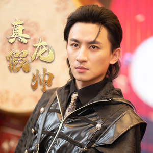 真假龙帅(81集) 真假龙帅(81集)爱上了这部剧了