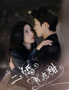 二婚有点甜（88集）排行榜前十短剧