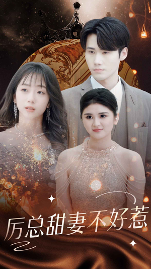 历总前妻不好惹(75集) 历总前妻不好惹(75集)第三季