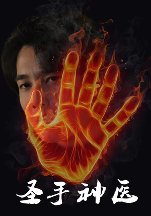 圣手神医(97集) 圣手神医(97集)剧情简介