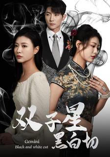 双子星黑白切（82集）免费版