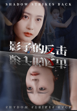 影子的反击（31集）全集下载