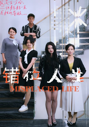 错位人生(89集) 错位人生(89集)第一季