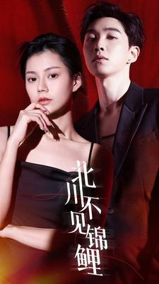 北川不见锦鲤(72集) 北川不见锦鲤(72集)解说文案