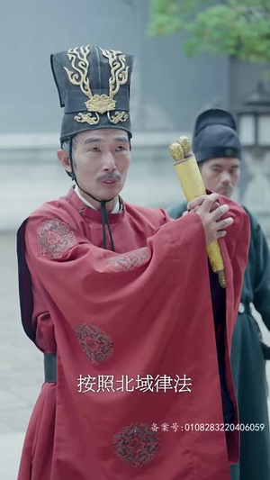 王行天下(100集) 王行天下(100集)真的太好看了